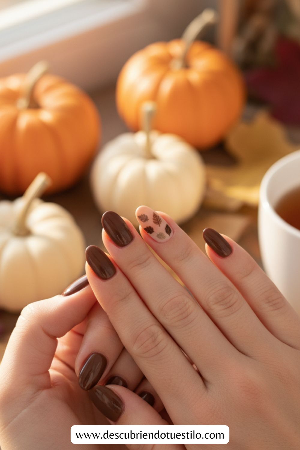 Manos con uñas otoñales marrones y beige se muestran delante de pequeñas calabazas y una taza, creando un acogedor ambiente otoñal-perfecta inspiración para uñas elegantes para Acción de Gracias.